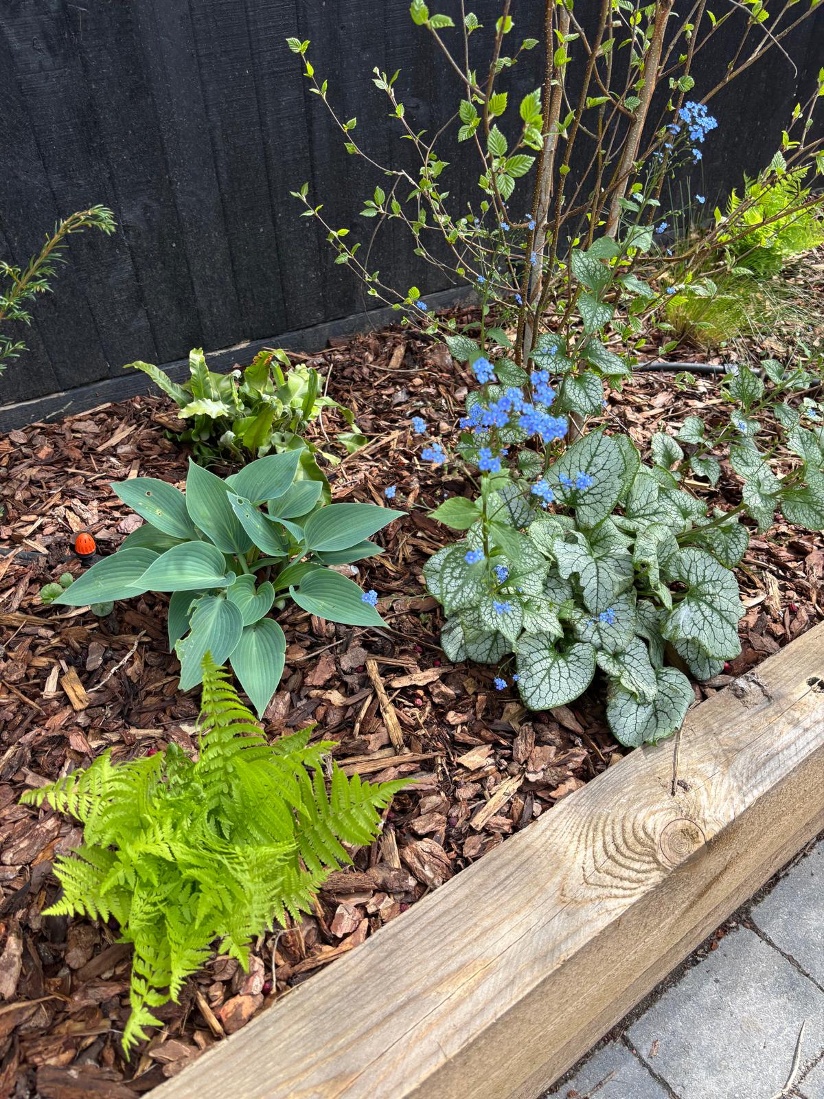 Plant Supply and Sourcing